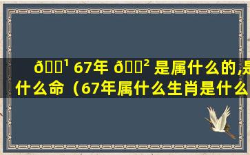 🌹 67年 🌲 是属什么的,是什么命（67年属什么生肖是什么命人什么相生相克）